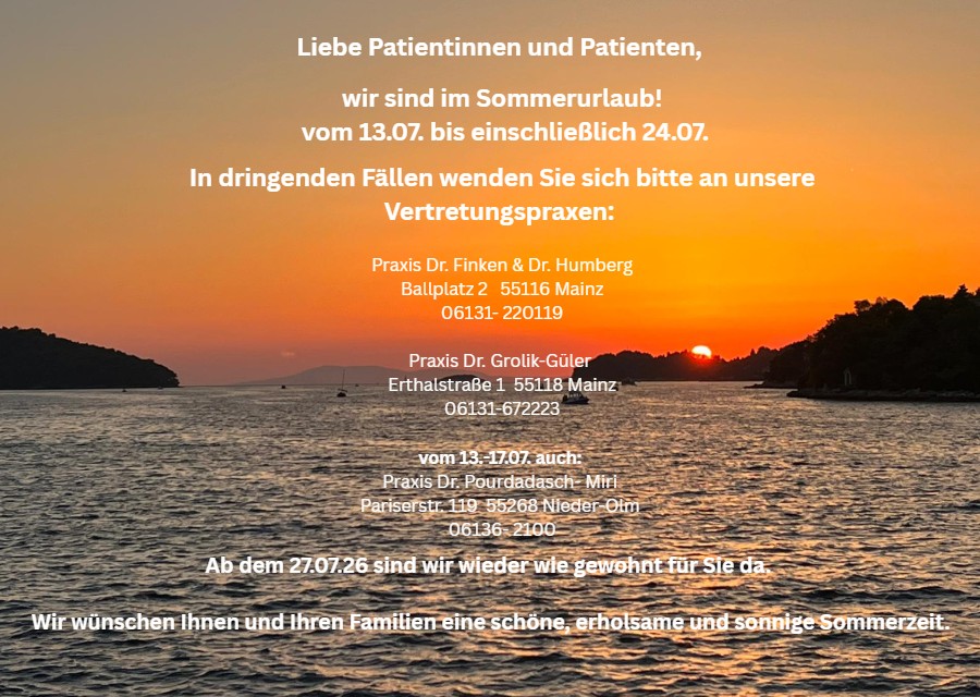 Sommer Info 26